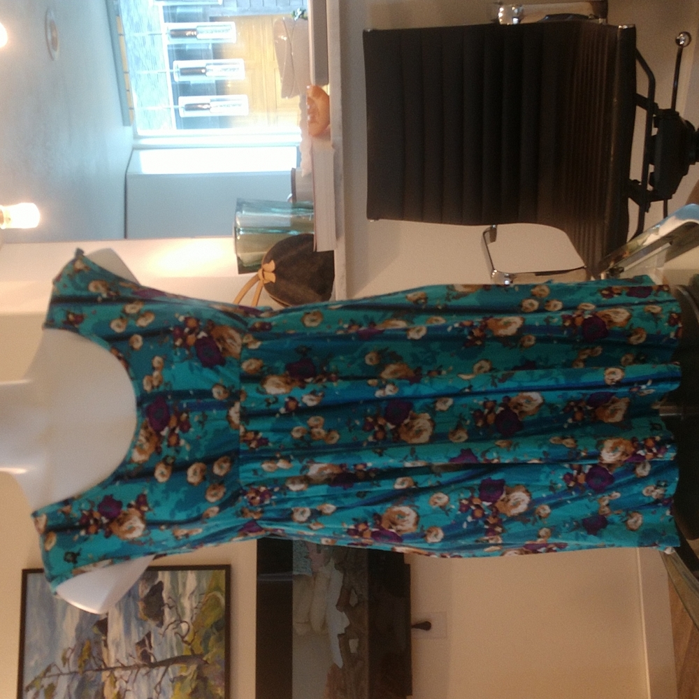 One clothing size 8 dress.